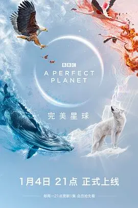 《完美星球》:一场震撼人心的自然史诗,地球生态的深情礼赞